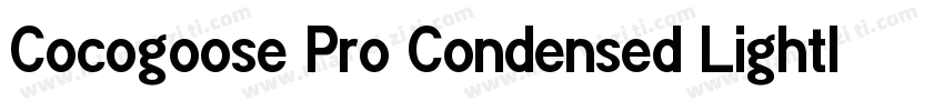 Cocogoose Pro Condensed LightIta字体转换
